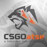 // T!ger //csgoatse.com