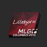 Lillebjorn559