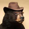 intelligence bear