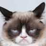 Grumpy