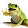 Džemperis