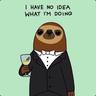 Captain sloth