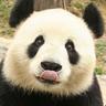 Kajanwhoo