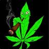 DankKush
