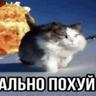 Тот самый тиммейт