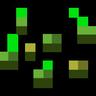 seed