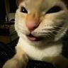 fuwawz