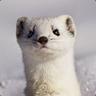 Ozzy The Weasel