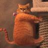 Puss