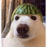 Fred