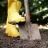 Shovel