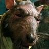 >>Splinter<<