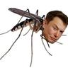 ELON MUSKITO