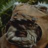 Wicket