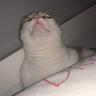 -¿¿¿-