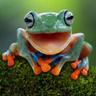 Ribbit