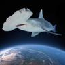 Tiburón Espacial