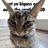bigass ears