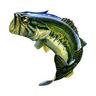 Bass