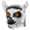 Lemur