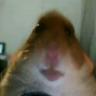 Xeroo__