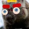 Killerwombat1000