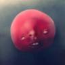 GlobDaSon