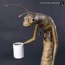 Loomy