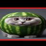 Melon Cat Greg