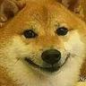 Smug Dog