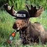Andris7445
