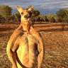 roo