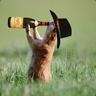 MoreBooze