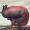 .biz