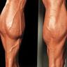Dickius Thundercalves