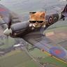 SpitKat