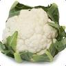 Bloemkool