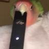 ESSKITITTT BOT