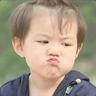 pansir001
