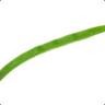 ✪ GreenBean™