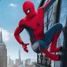 Spideyvas