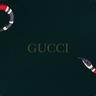 GUCCI<3