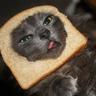 CatBread8Bit
