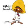 Zibidi