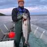 Alaskan Weasel