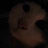 @bandit