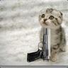 SuicidalKitten6969