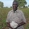 CottonFarmer69