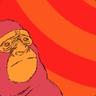 fonkymonky
