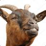 AmagonCE